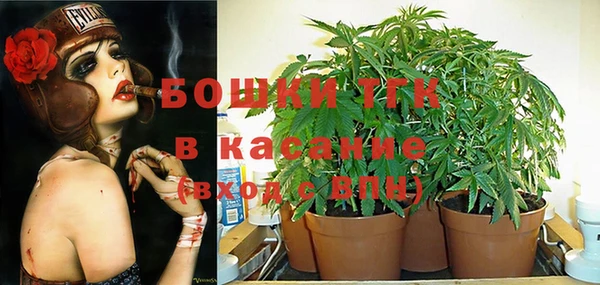 хмурый Алексеевка