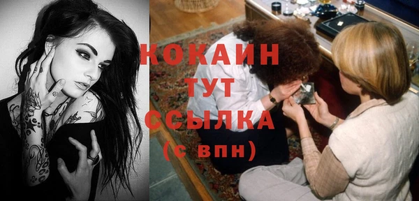 дмт Алексин