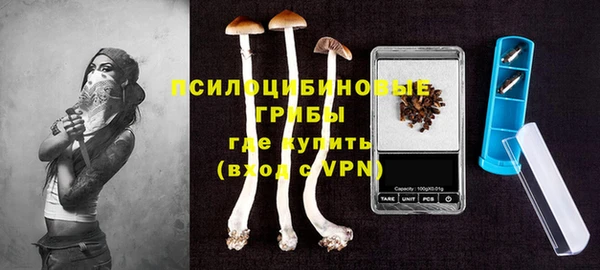 хмурый Алексеевка